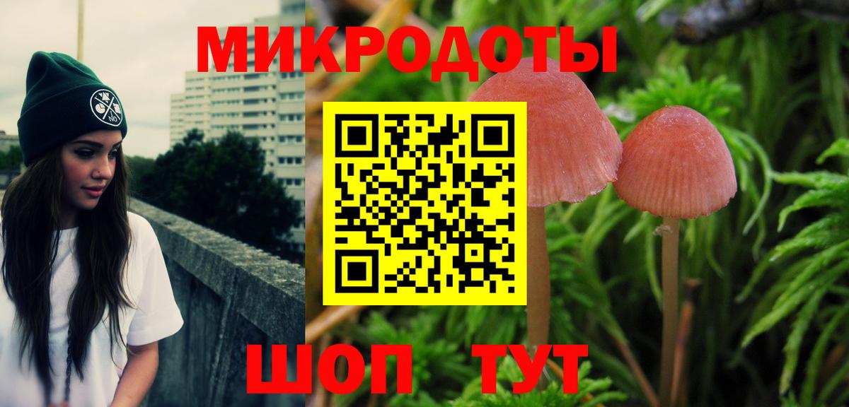 Галлюциногенные грибы Psilocybe  Вход с VPN  Новозыбков 